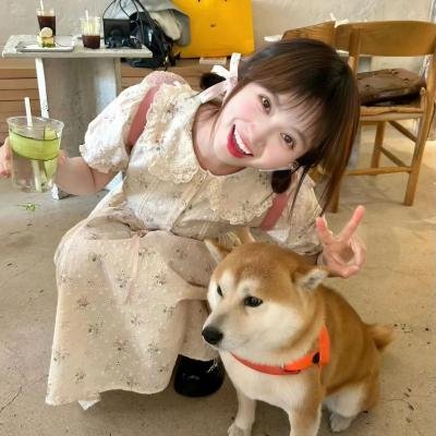 沧月绘